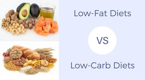 low-fat-vs-low-carb-diets-europe-supplements